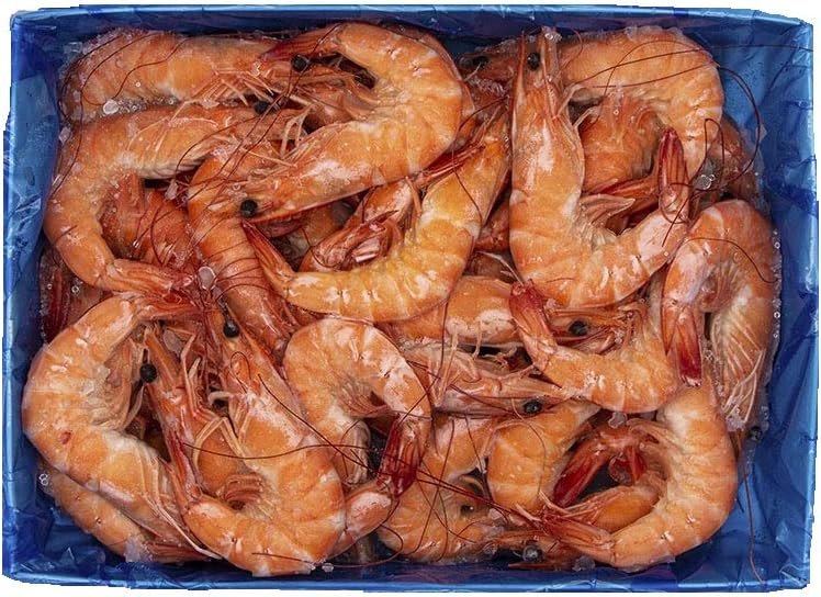 Cooked Prawn Ready-to-eat 1kg