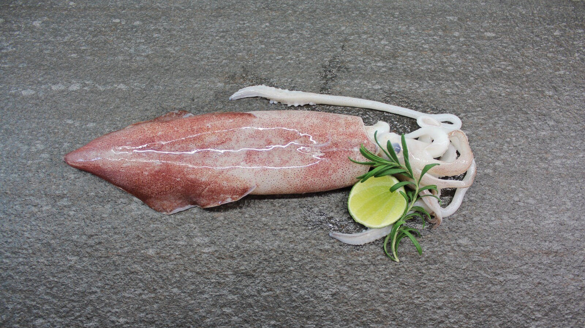 Frozen Squid 500g