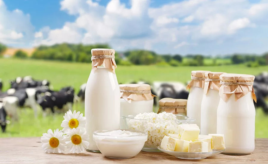 Dairy Products
