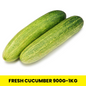 Fresh Cucumber 900g-1kg