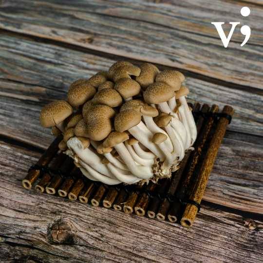 Brown Shimeiji Mushroom 150g - VG216