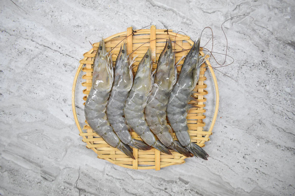 Frozen Grey Prawns 1kg