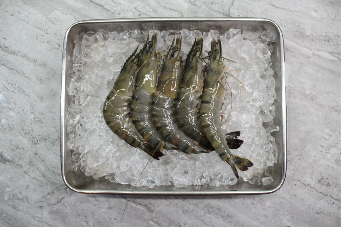 Frozen Tiger Prawns 1kg