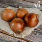 White Big Onion 1kg - VG68
